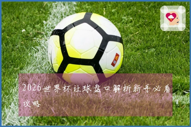 2026世界杯让球盘口解析新手必看攻略