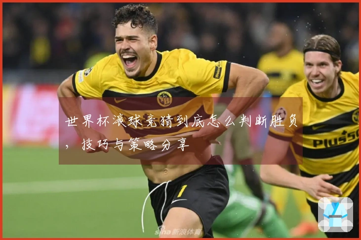 世界杯滚球竞猜到底怎么判断胜负，技巧与策略分享