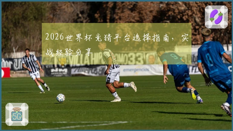 2026世界杯竞猜平台选择指南，实战经验分享