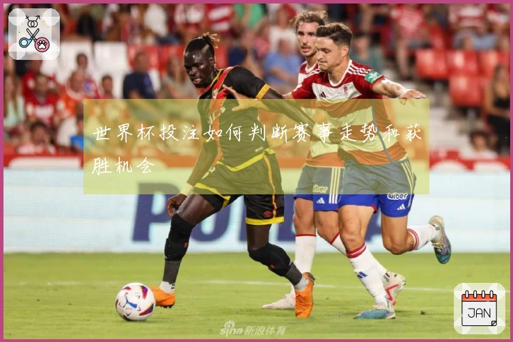 世界杯投注如何判断赛事走势和获胜机会