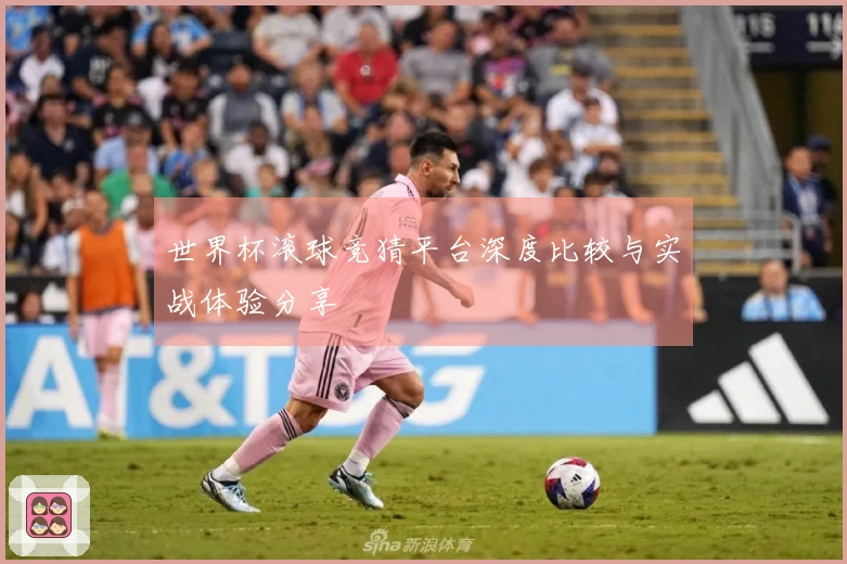世界杯滚球竞猜平台深度比较与实战体验分享