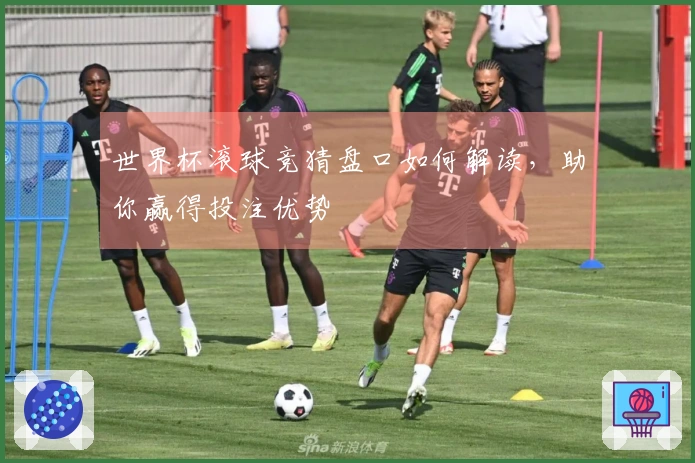 世界杯滚球竞猜盘口如何解读，助你赢得投注优势