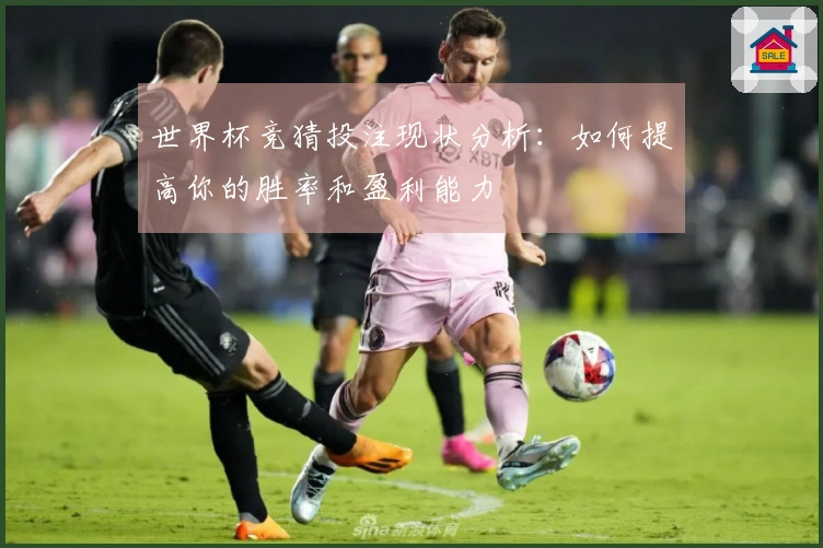 世界杯竞猜投注现状分析：如何提高你的胜率和盈利能力