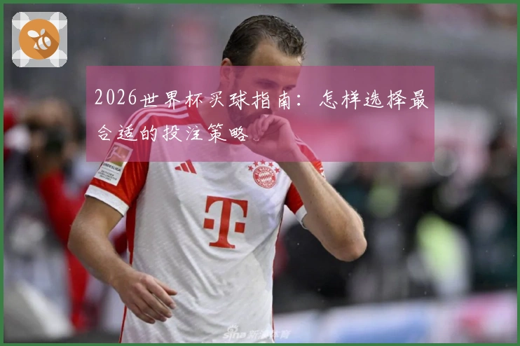 2026世界杯买球指南：怎样选择最合适的投注策略