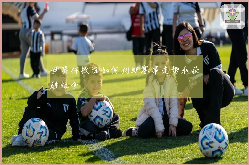 世界杯投注如何判断赛事走势和获胜机会