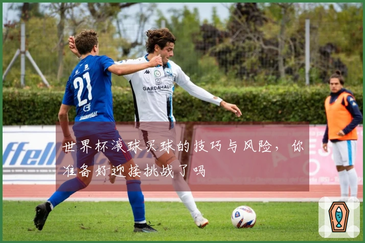 世界杯滚球买球的技巧与风险，你准备好迎接挑战了吗