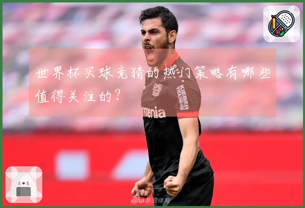 世界杯买球竞猜的热门策略有哪些值得关注的？